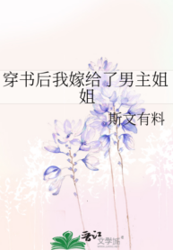 novelimage (9)
