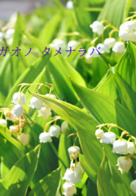 For The Sake OF Your Smile